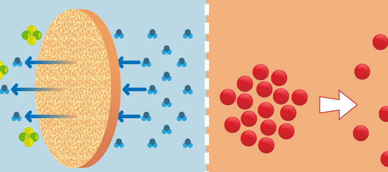 Brilliance Osmosis Diffusion
