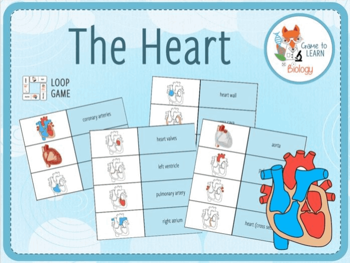 Brilliance Heat Quest Game